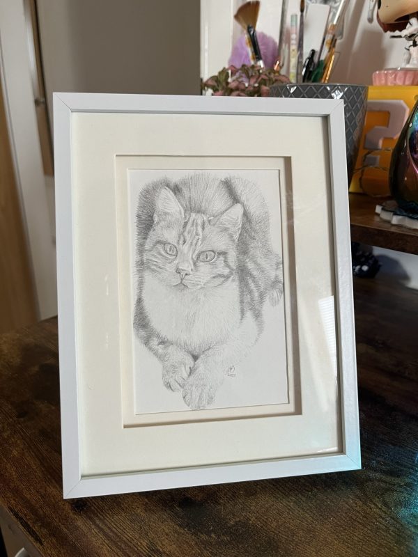 Custom Pet Portrait Pencil Drawing - Image 7