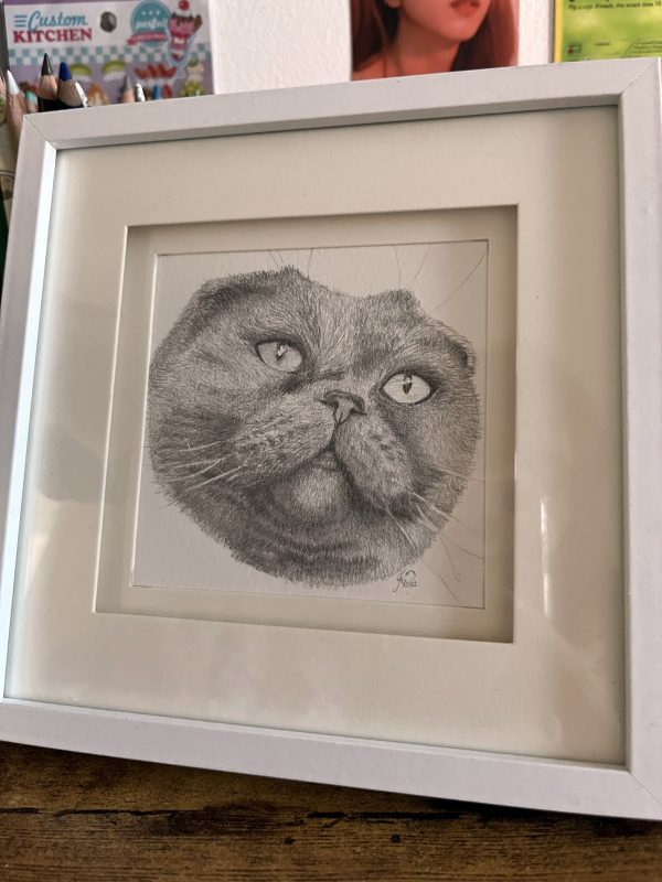 Custom Pet Portrait Pencil Drawing - Image 5