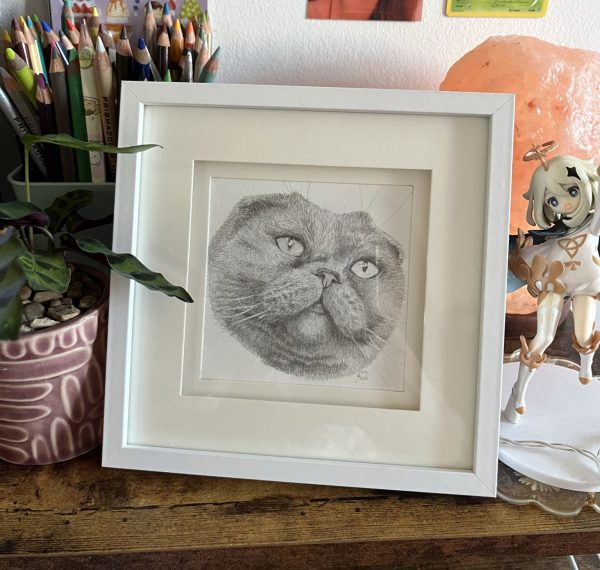 Custom Pet Portrait Pencil Drawing