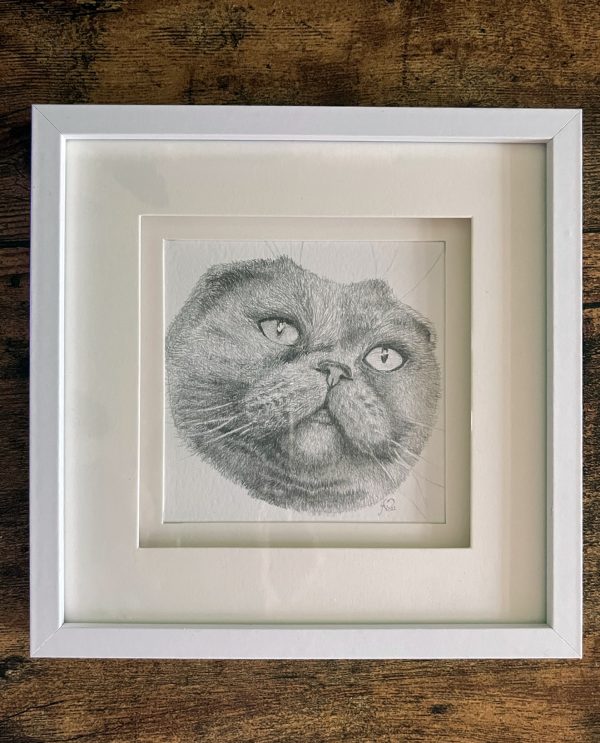 Custom Pet Portrait Pencil Drawing - Image 4