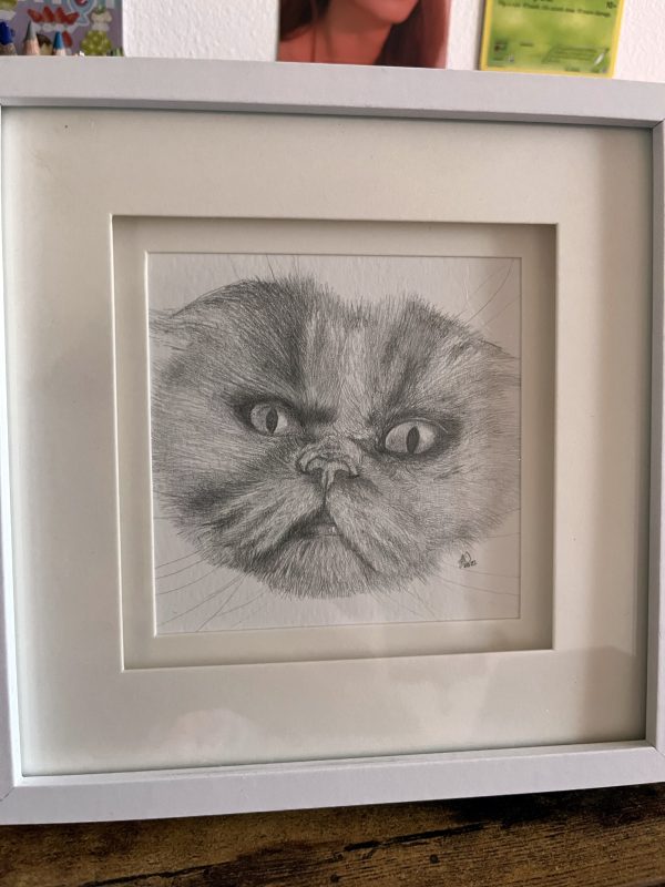 Custom Pet Portrait Pencil Drawing - Image 3