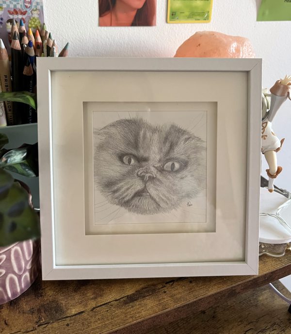 Custom Pet Portrait Pencil Drawing - Image 2